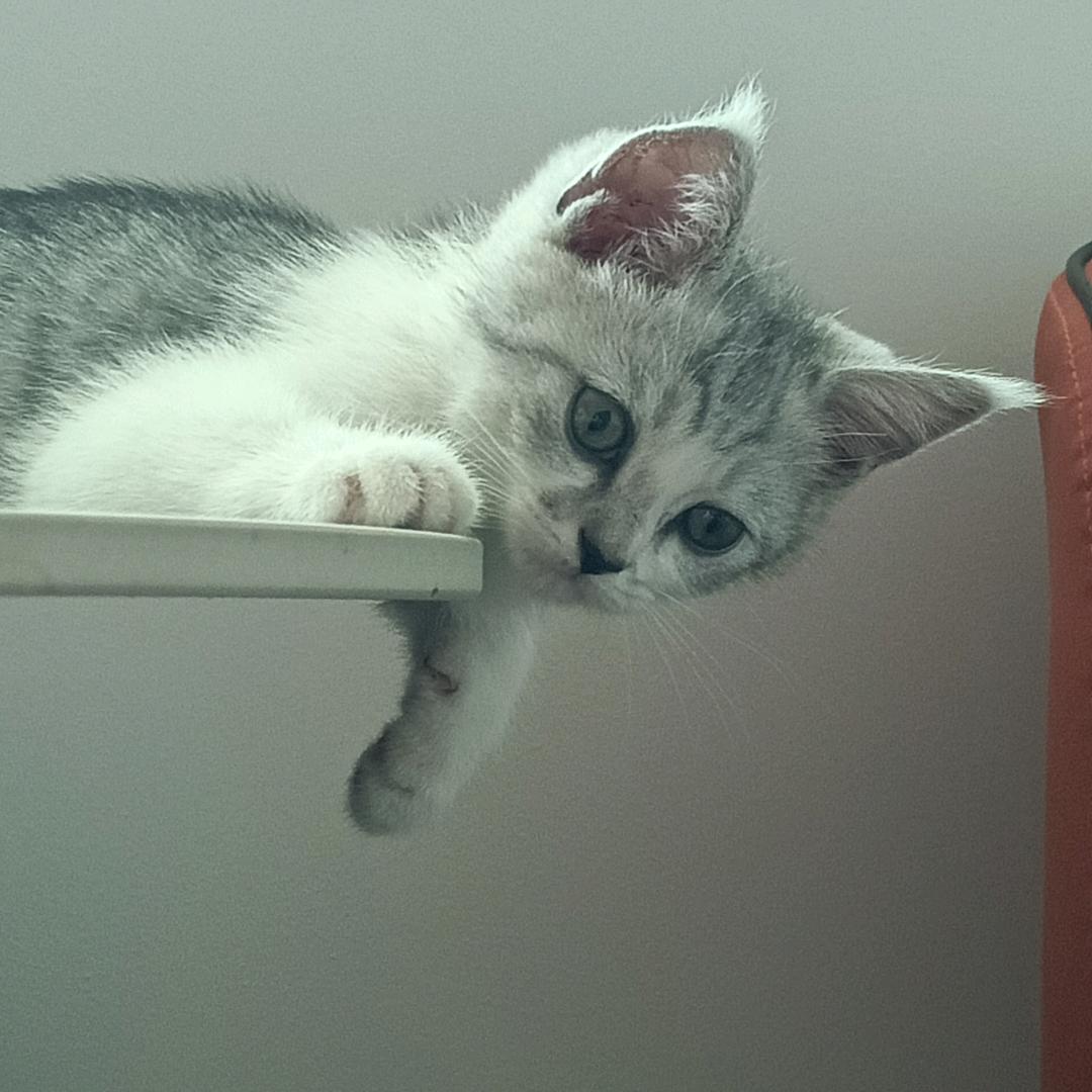 烟花雨巷，谁得思念带着伤