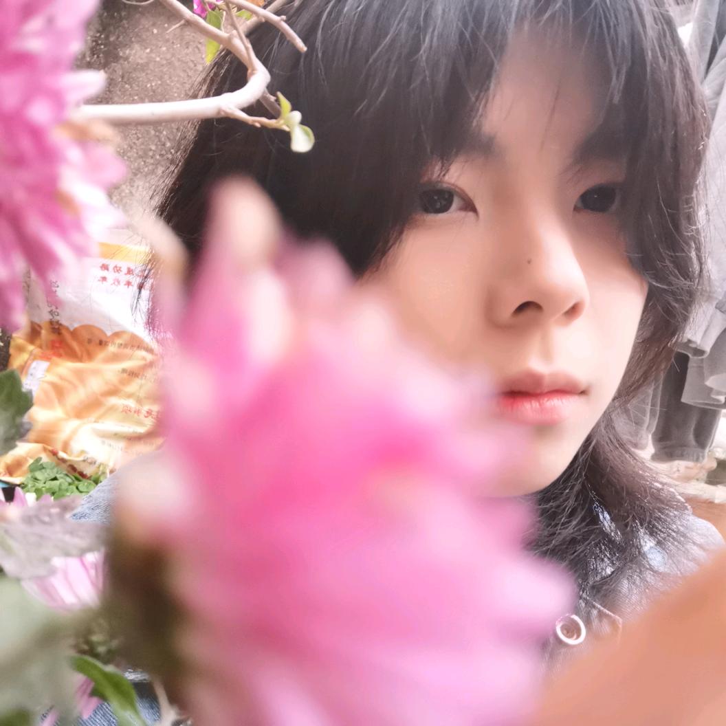 喜欢小狗✧੯•́໒꒱