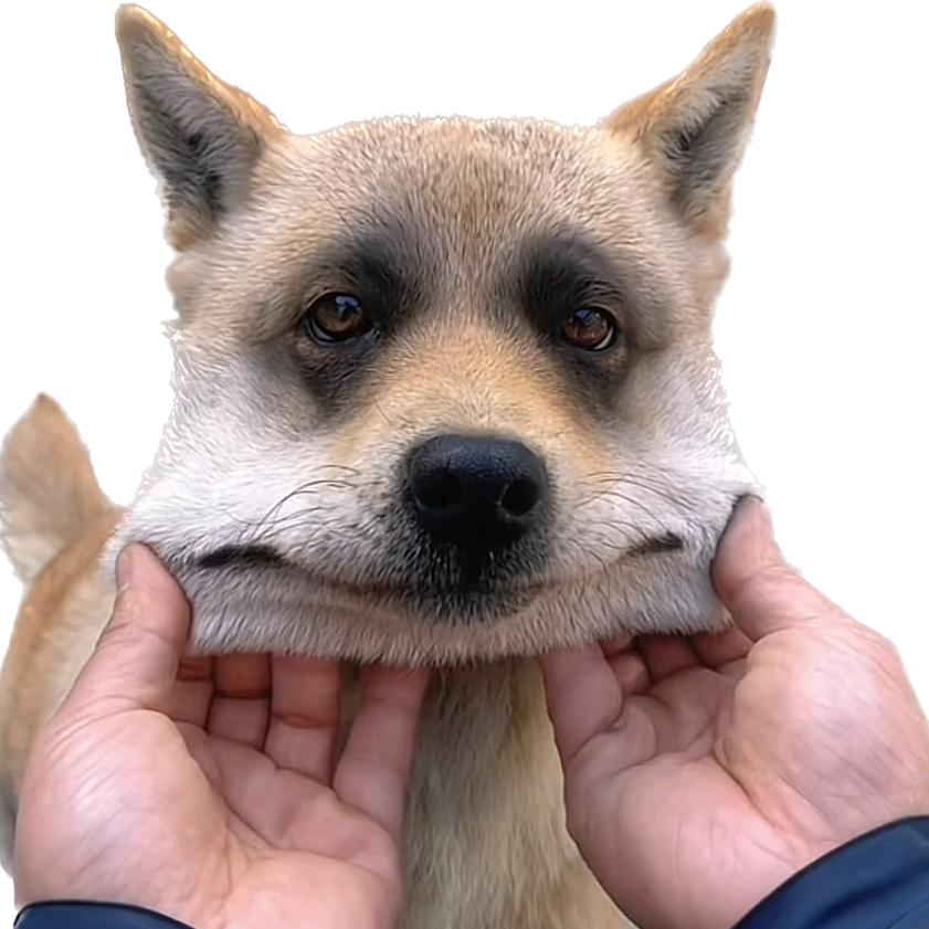 网恋被女同骗三次