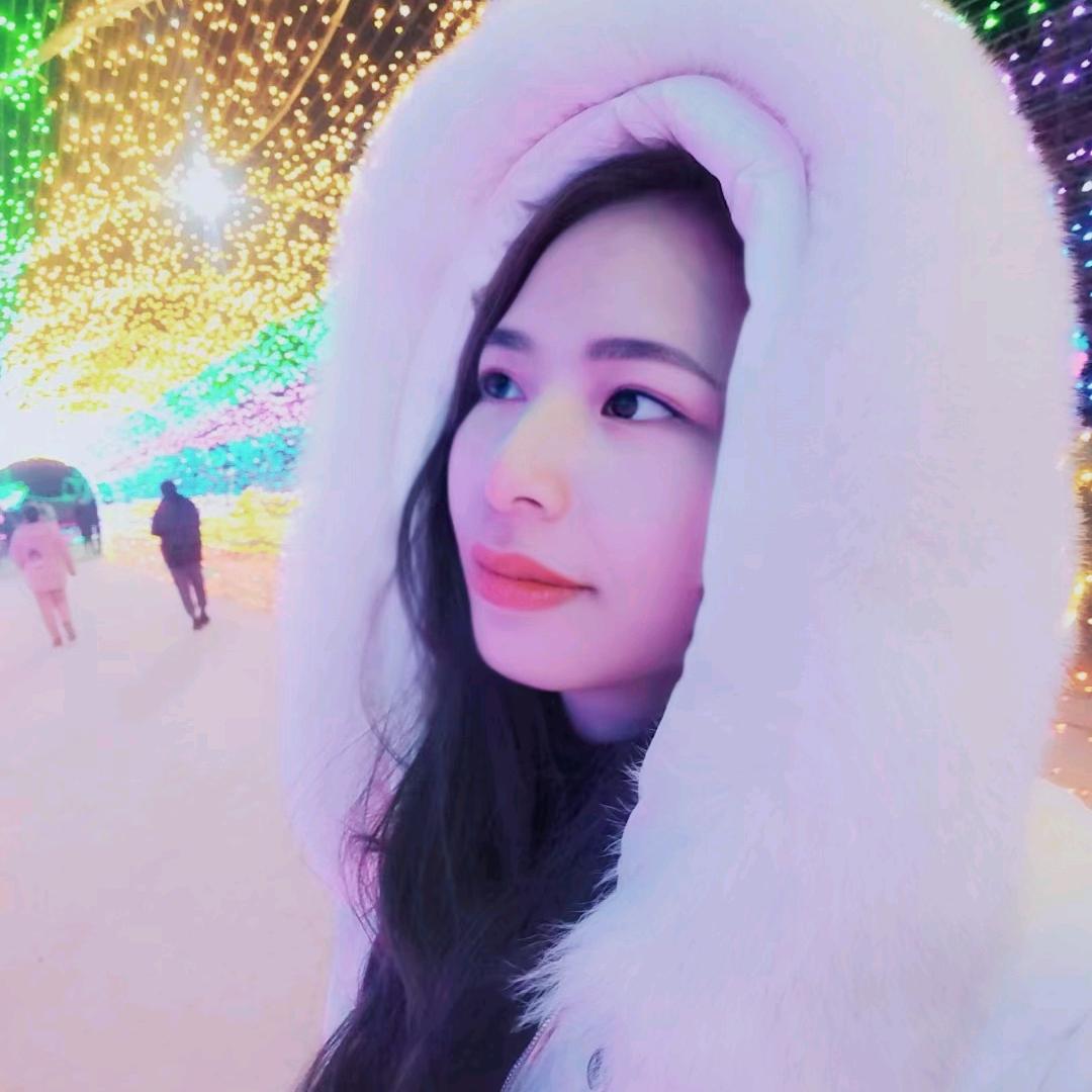 懒猪