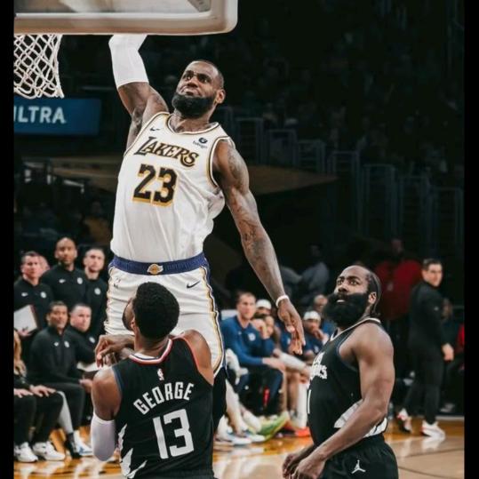 胜者黄柏苗出售，遵义