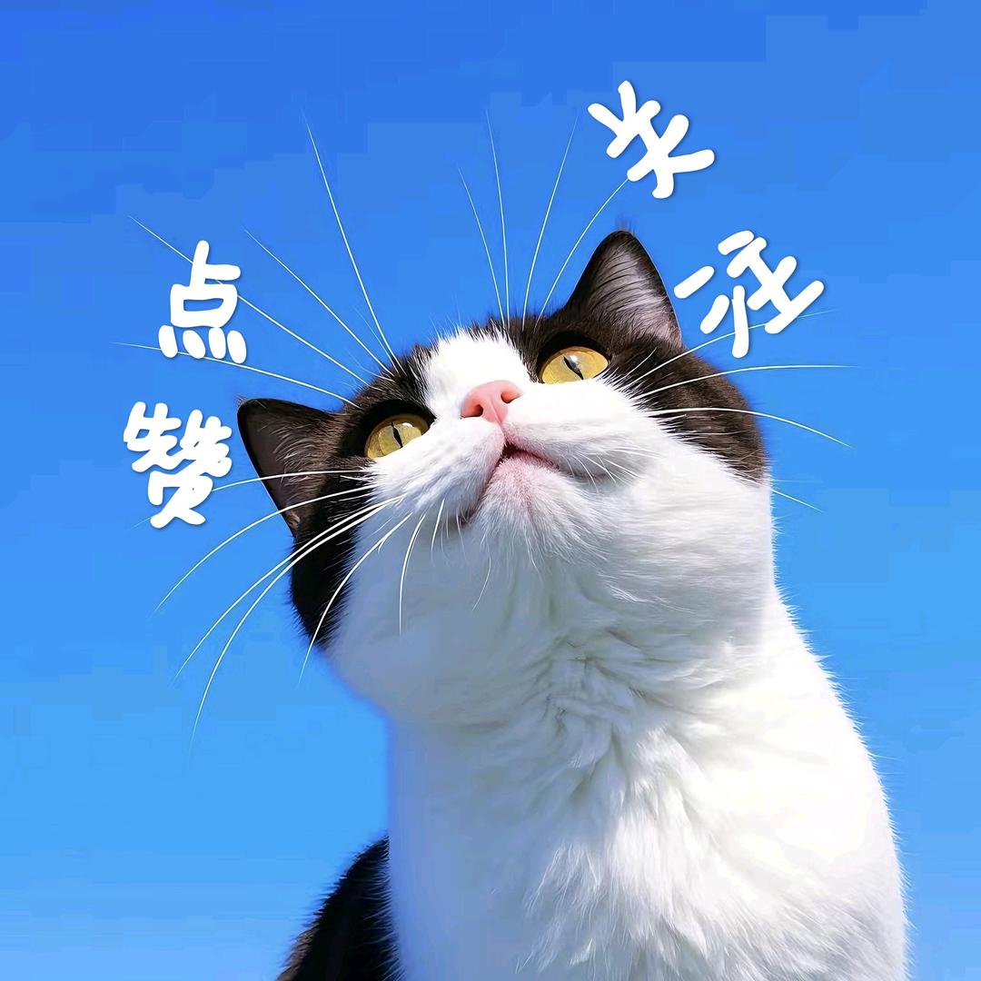 咪咪meme