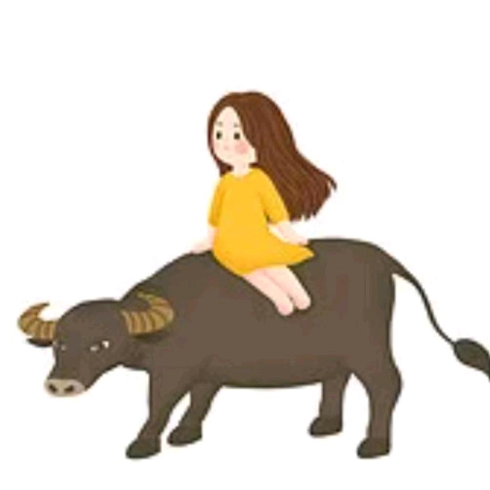 老卢