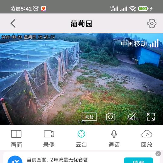 ，临邑县，德平镇，满家村西面葡萄采摘园