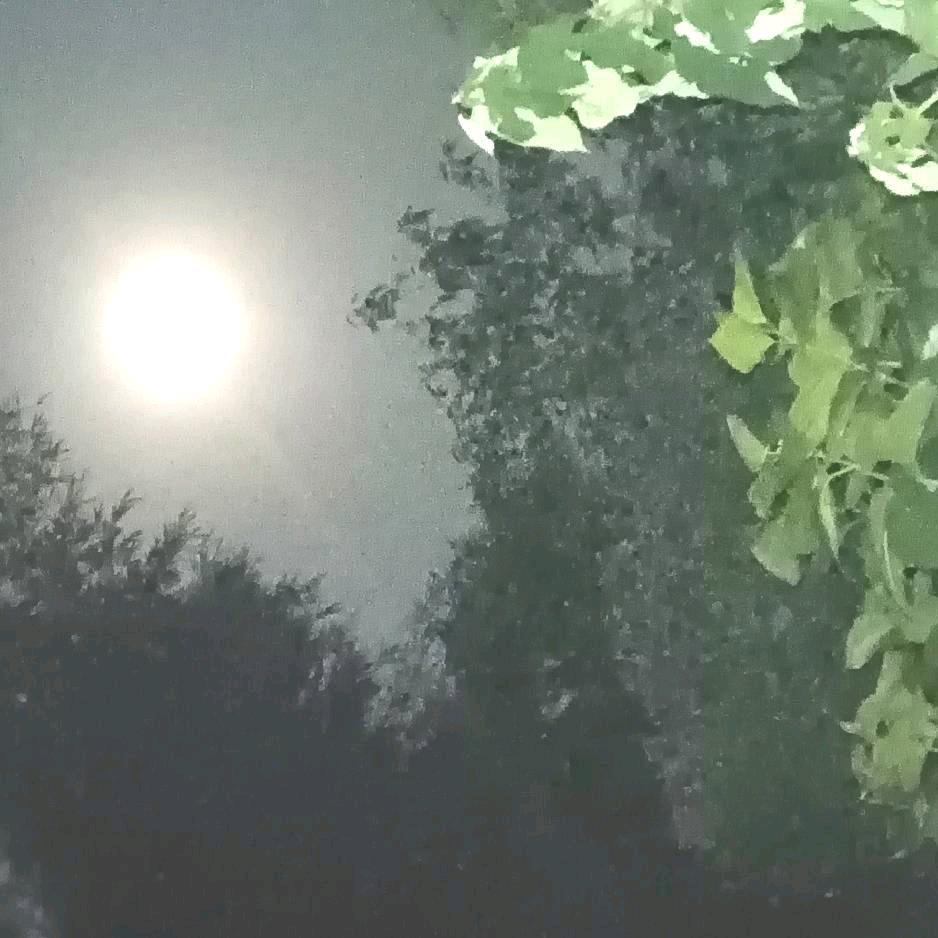 明天阳光更美好