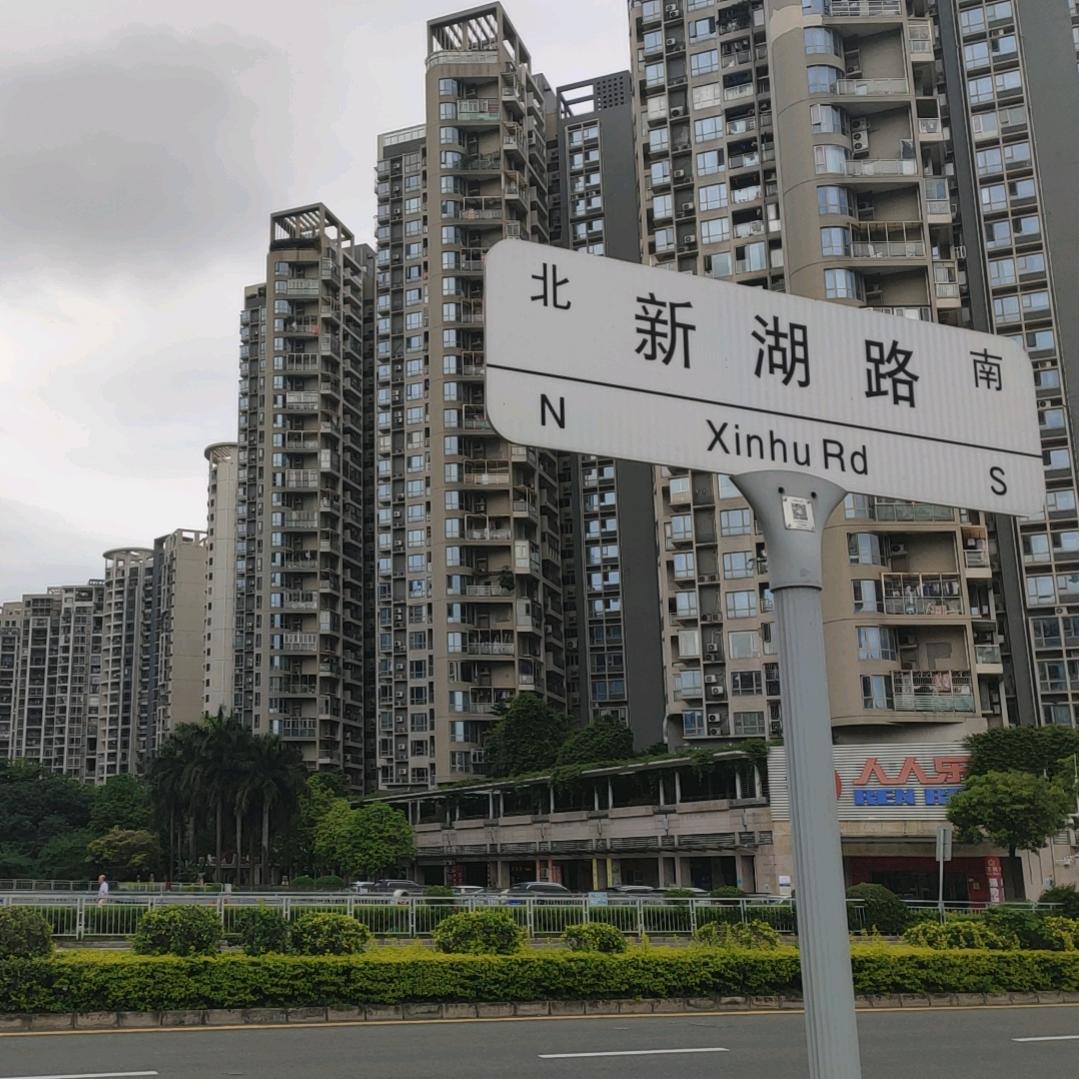 准公民脑回路公益调整师