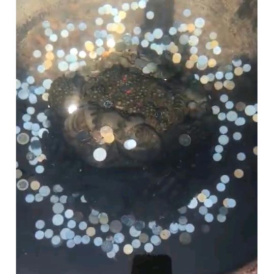 秋无名