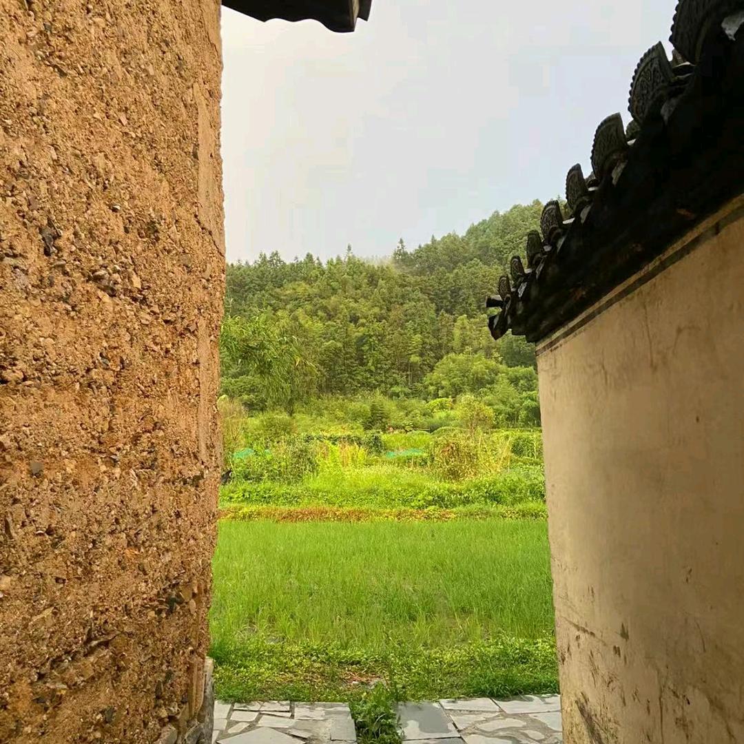 龙年大吉行大运