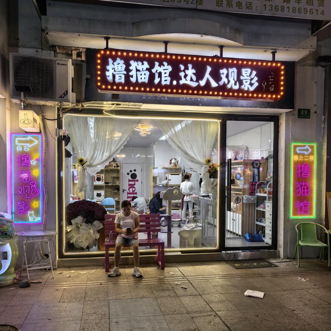 达人撸猫馆 猫咖观影