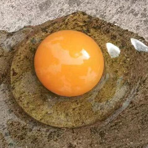 盛菲蛋品供应链