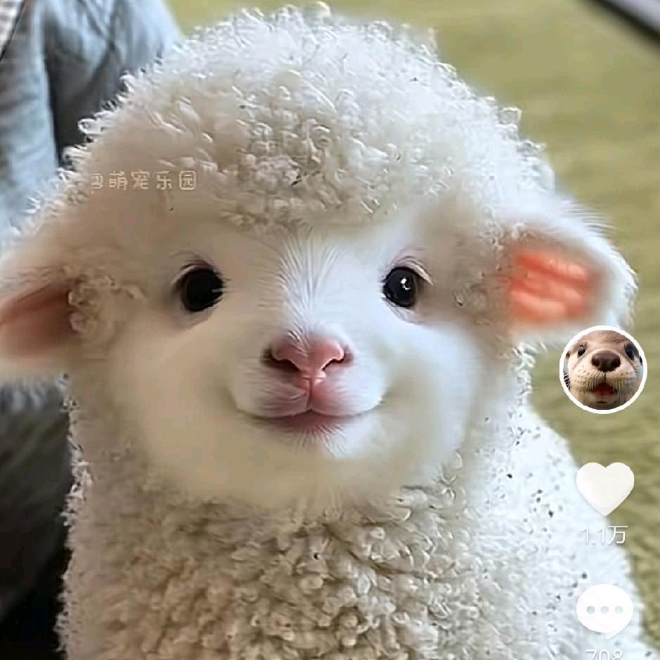 冰冷的心@@