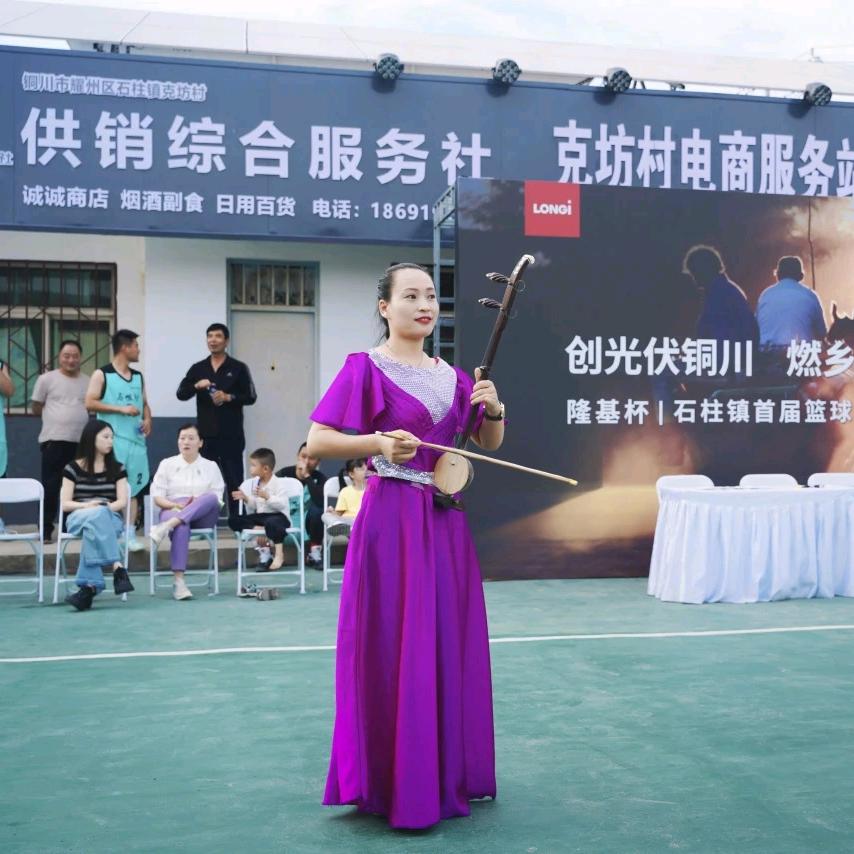 板胡杜宁（小号）