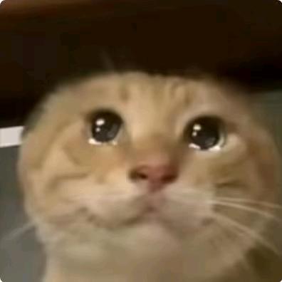 舒克（三角洲）