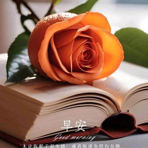 真善美！🌻🌻🌻🌻