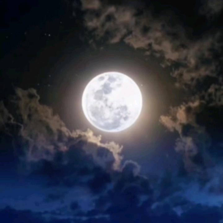 💞ღ᭄䛨꧔ꦿ꧔ꦿ諨᭄᭄💞