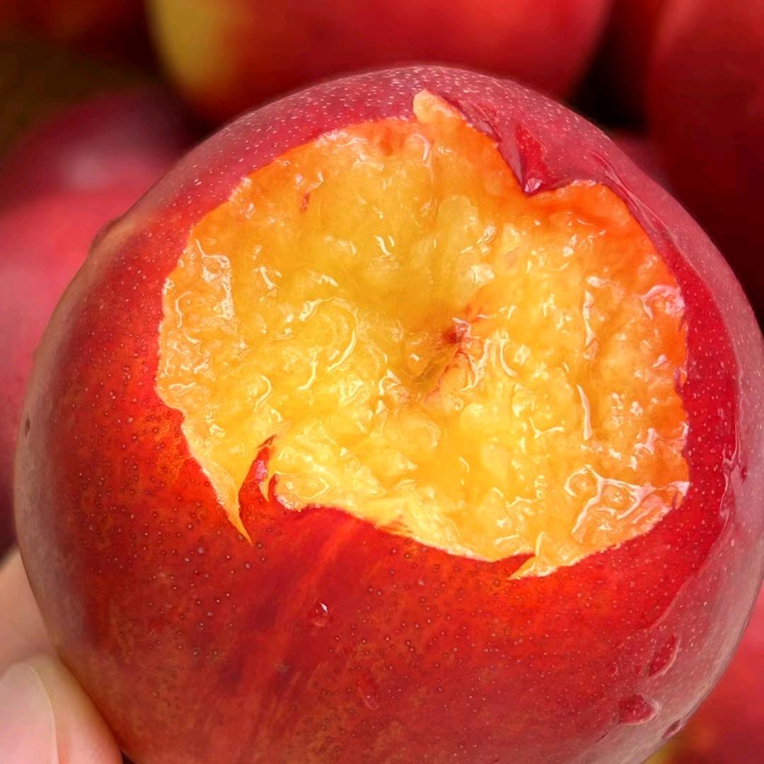 辰颐物语—满眼星陈