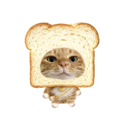 发呆的小绵羊🌧️