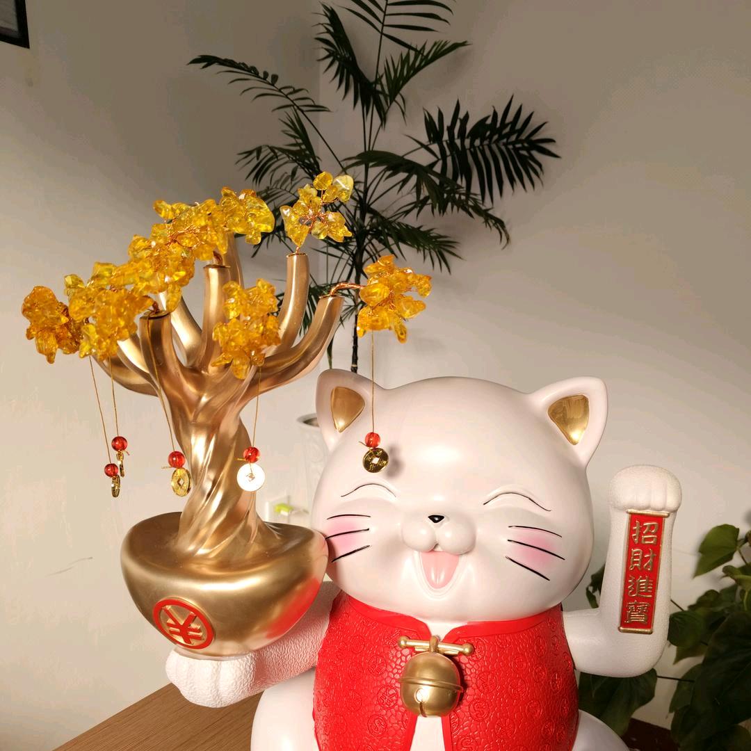 浩源睫毛🕊张🌺