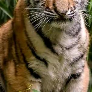 打败天下无敌手