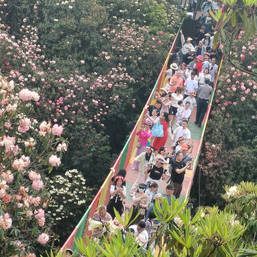 好运加满。