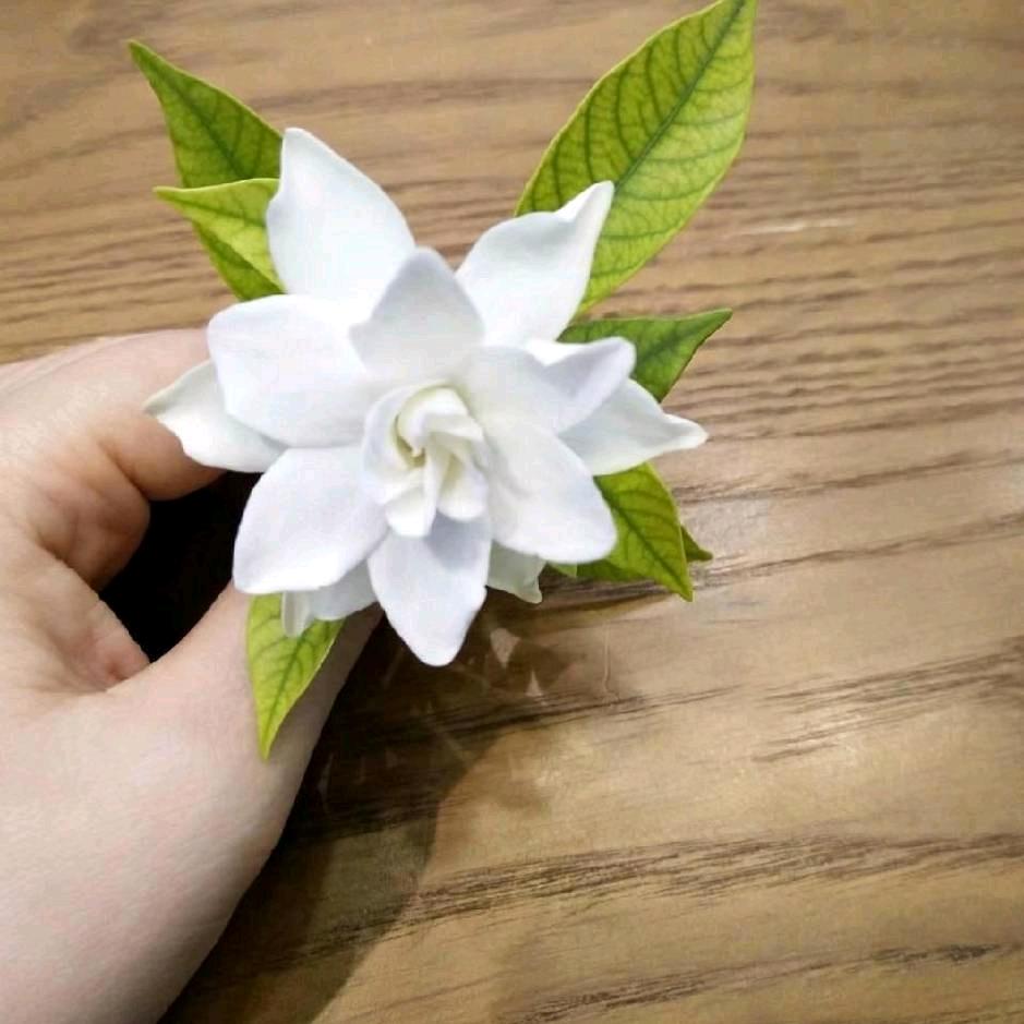 ✨米粒 cy