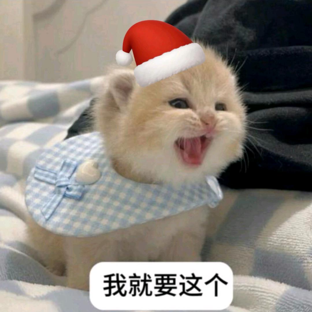 蒜鸟