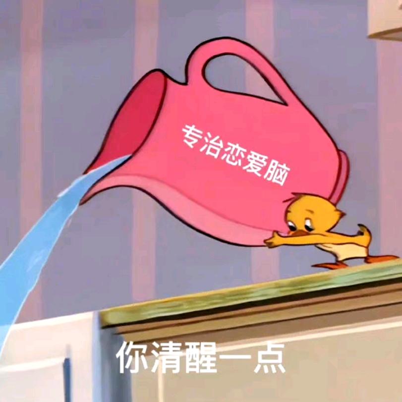 肥肥宅