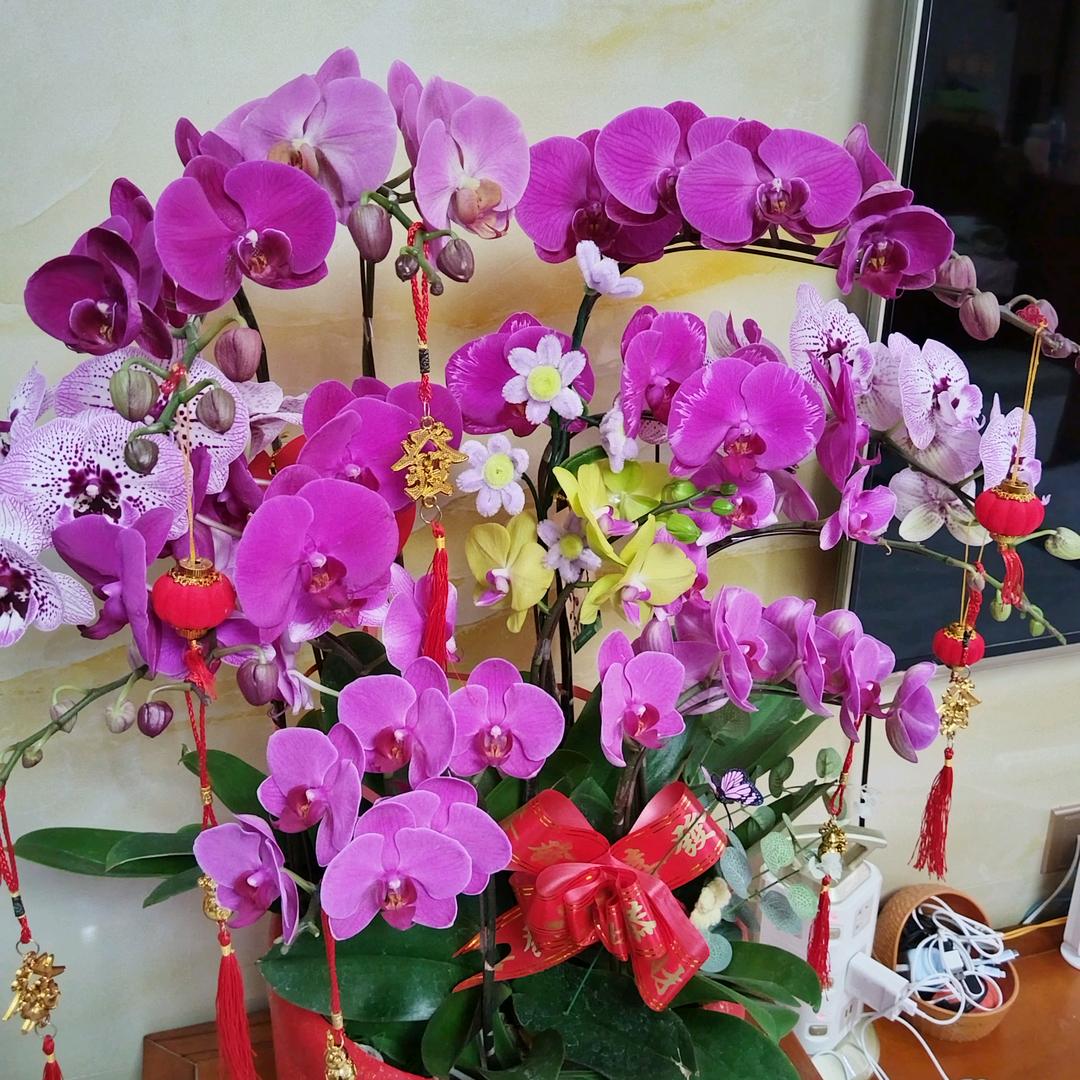 用户9216658135884萍聚