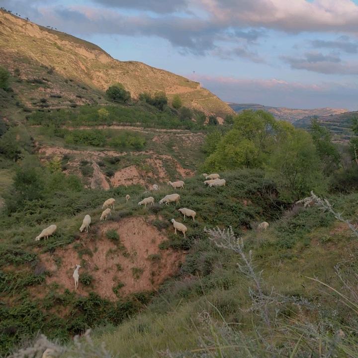 红盛种养殖合作社