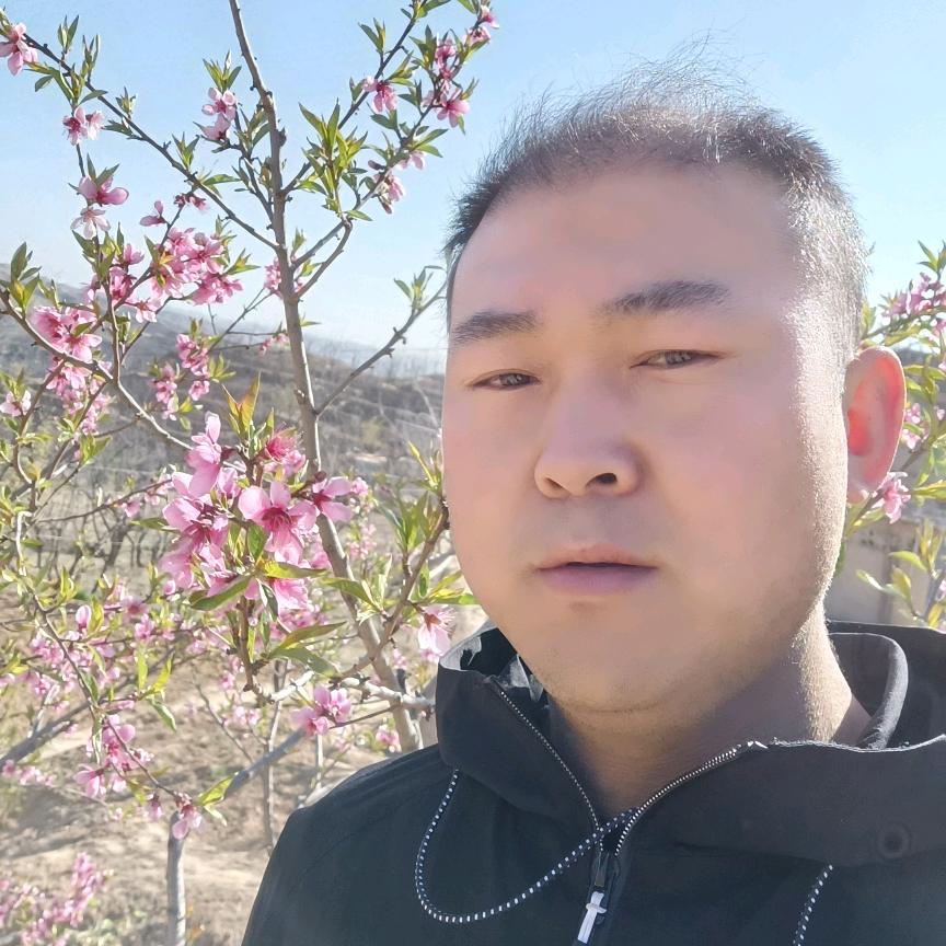 你是我的挚爱