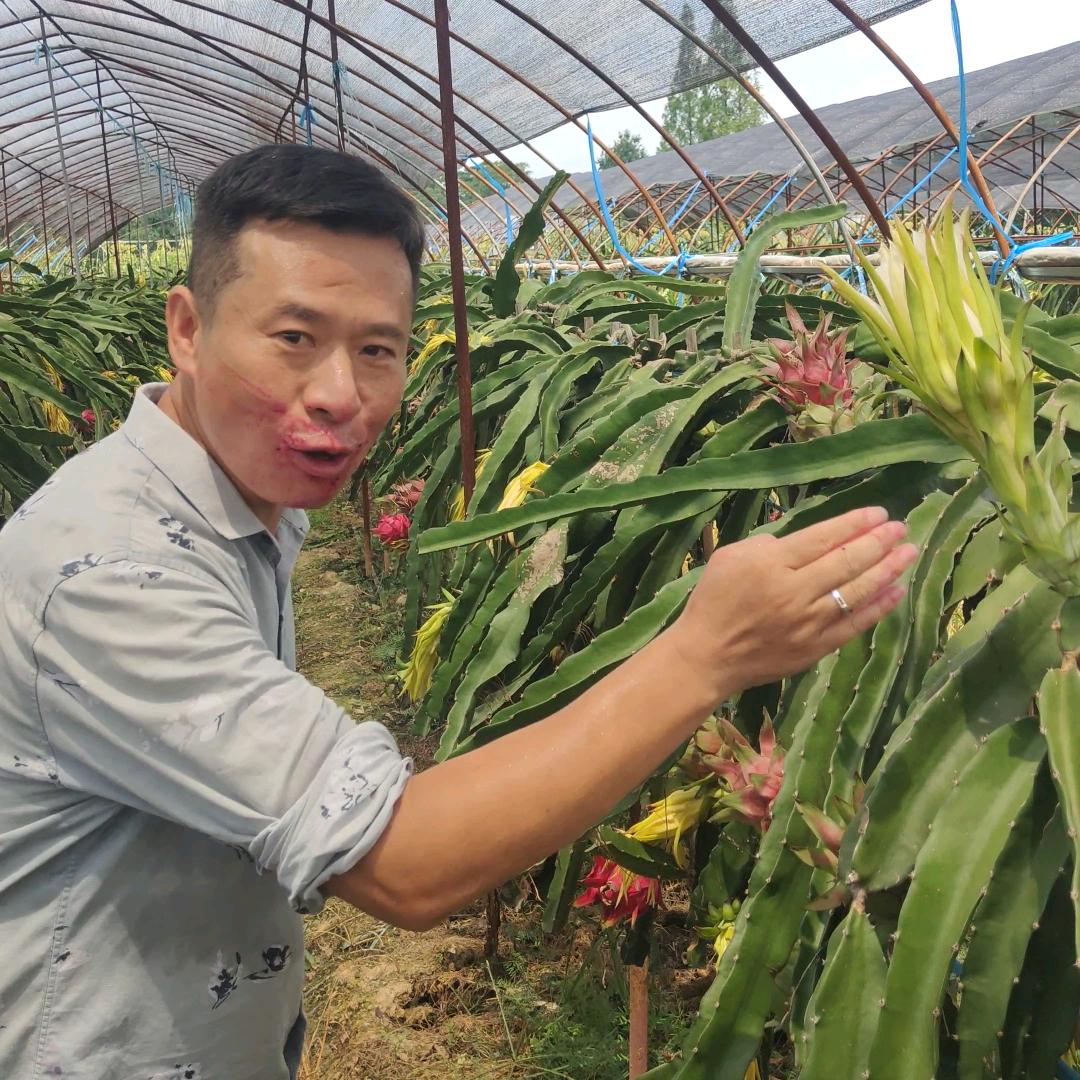 江西好物推荐🌻宝哥