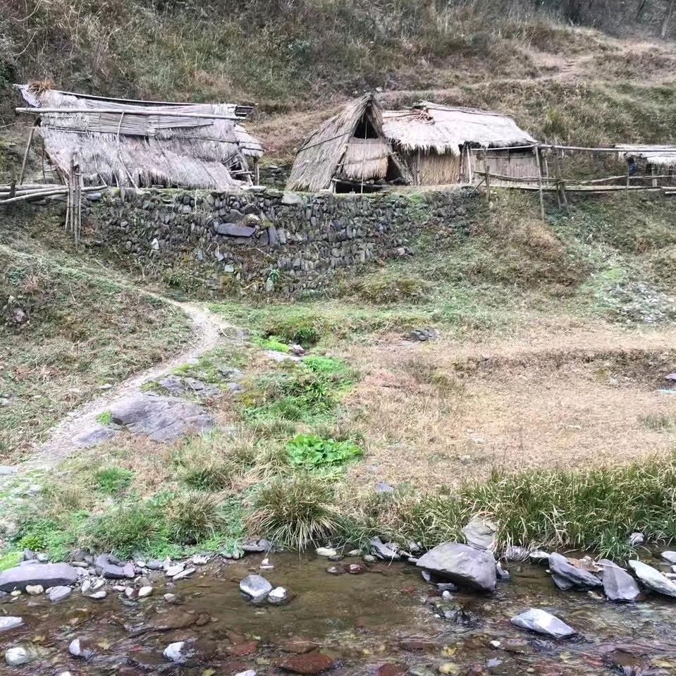 小邪回农村