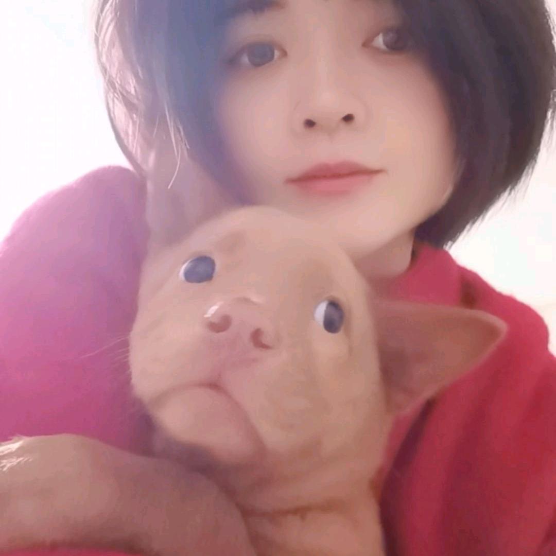 红红🐶