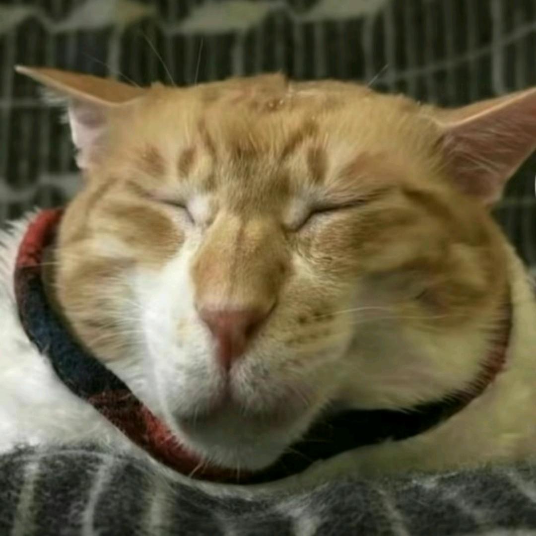 lll