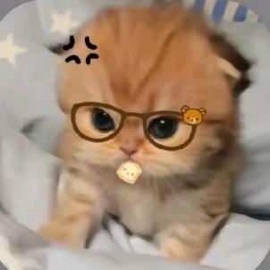 小5️⃣
