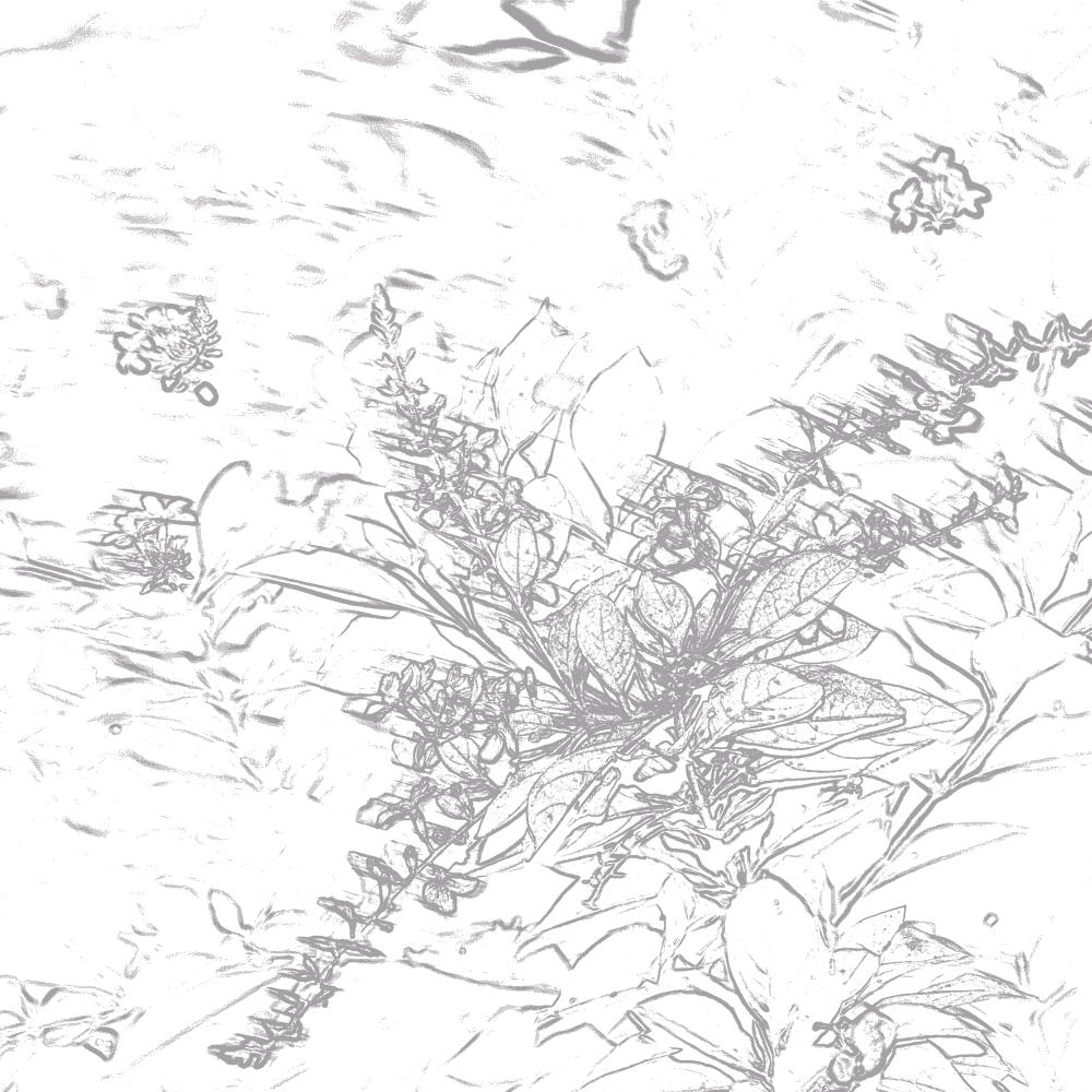 流水向林