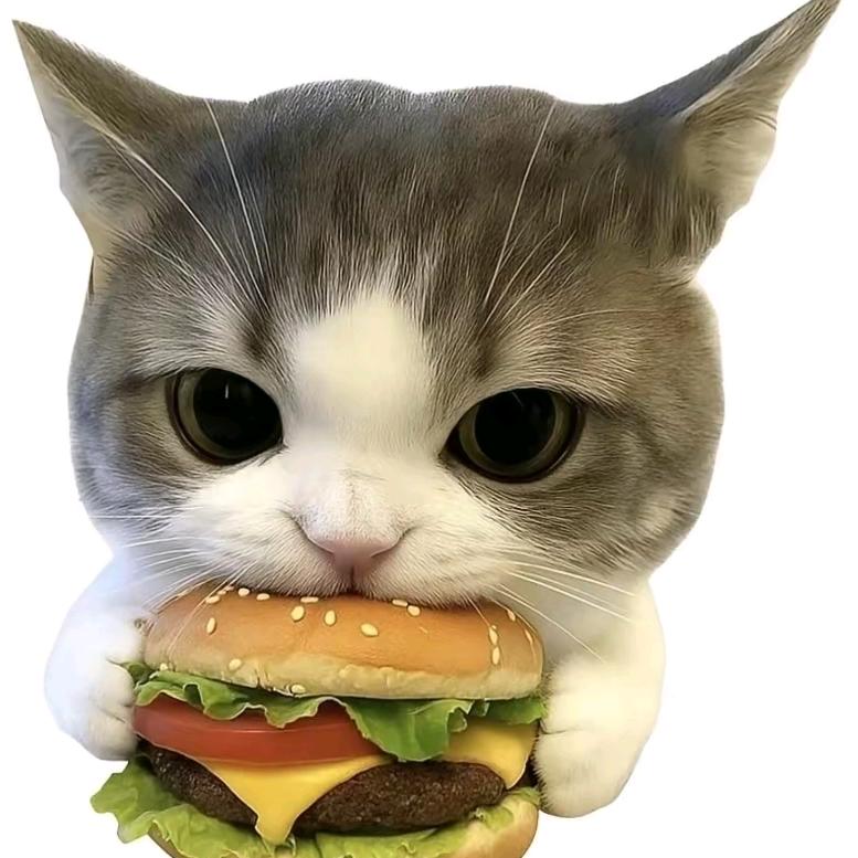 ⊙﹏⊙