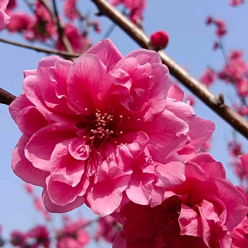 明天会更好