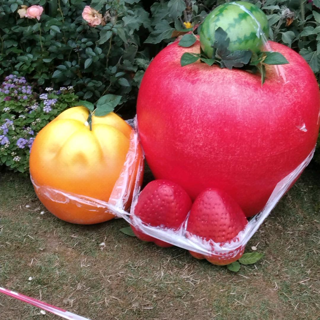 珍头像
