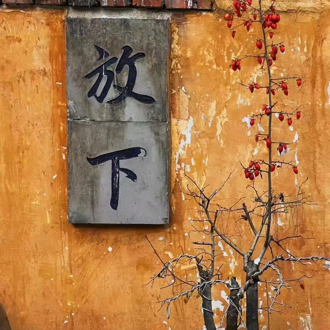 @奇门 七加一 梅🌺（不准全退）