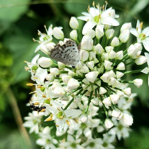 抽烟喝酒不烫头