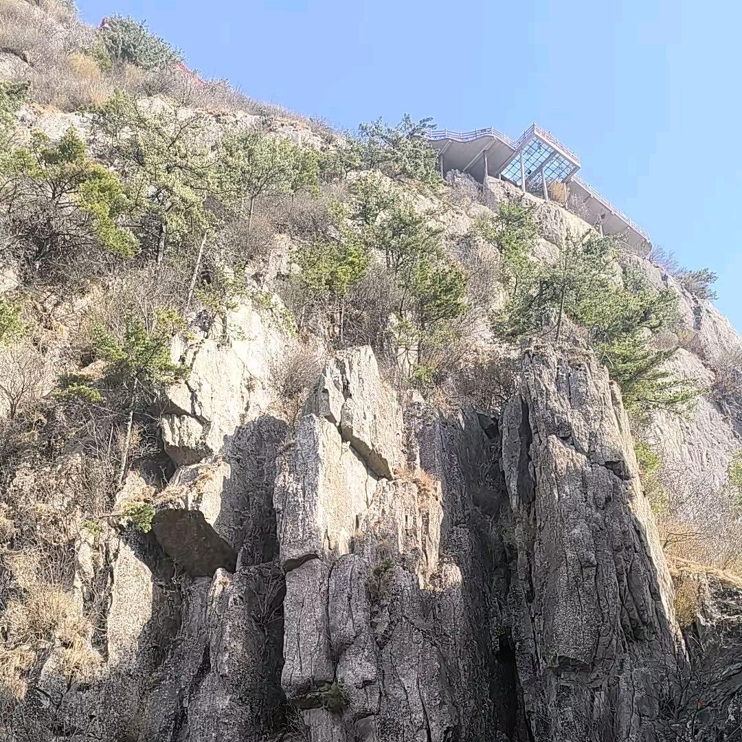 花一样的年龄