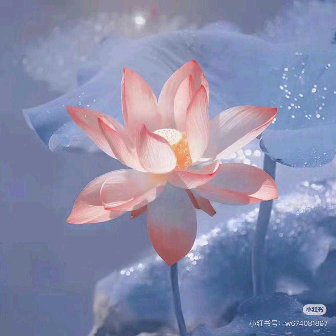 如意.`