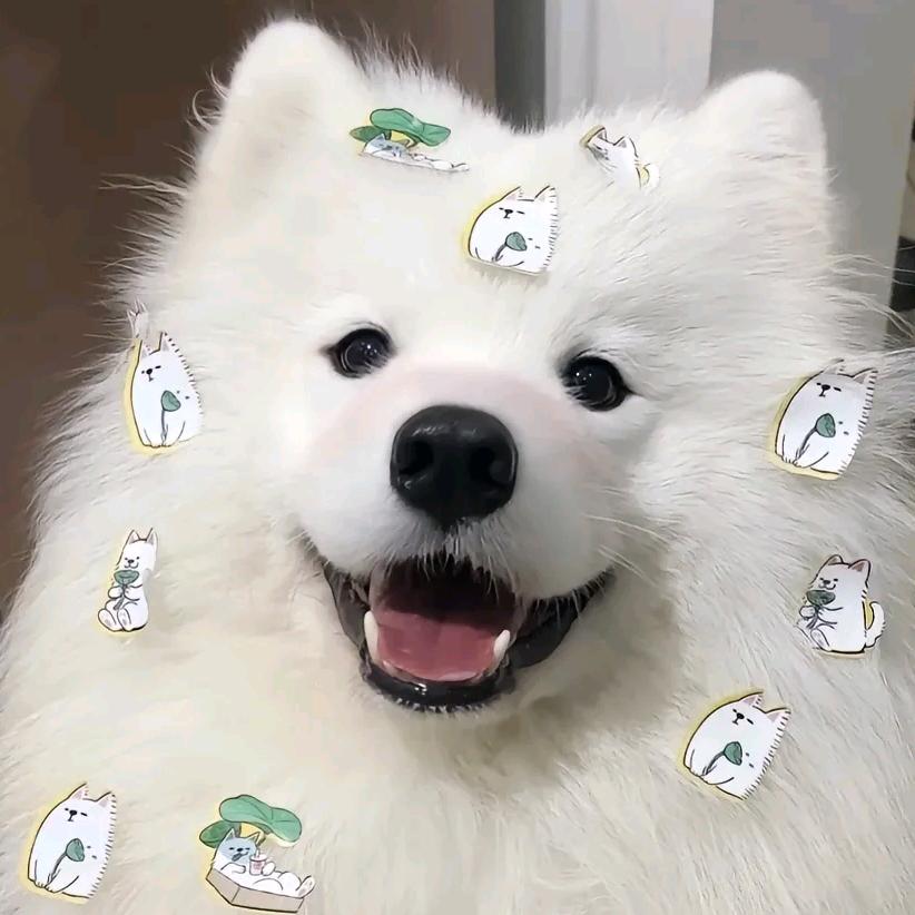 悲傷不會流淚˃ 𖥦 ˂