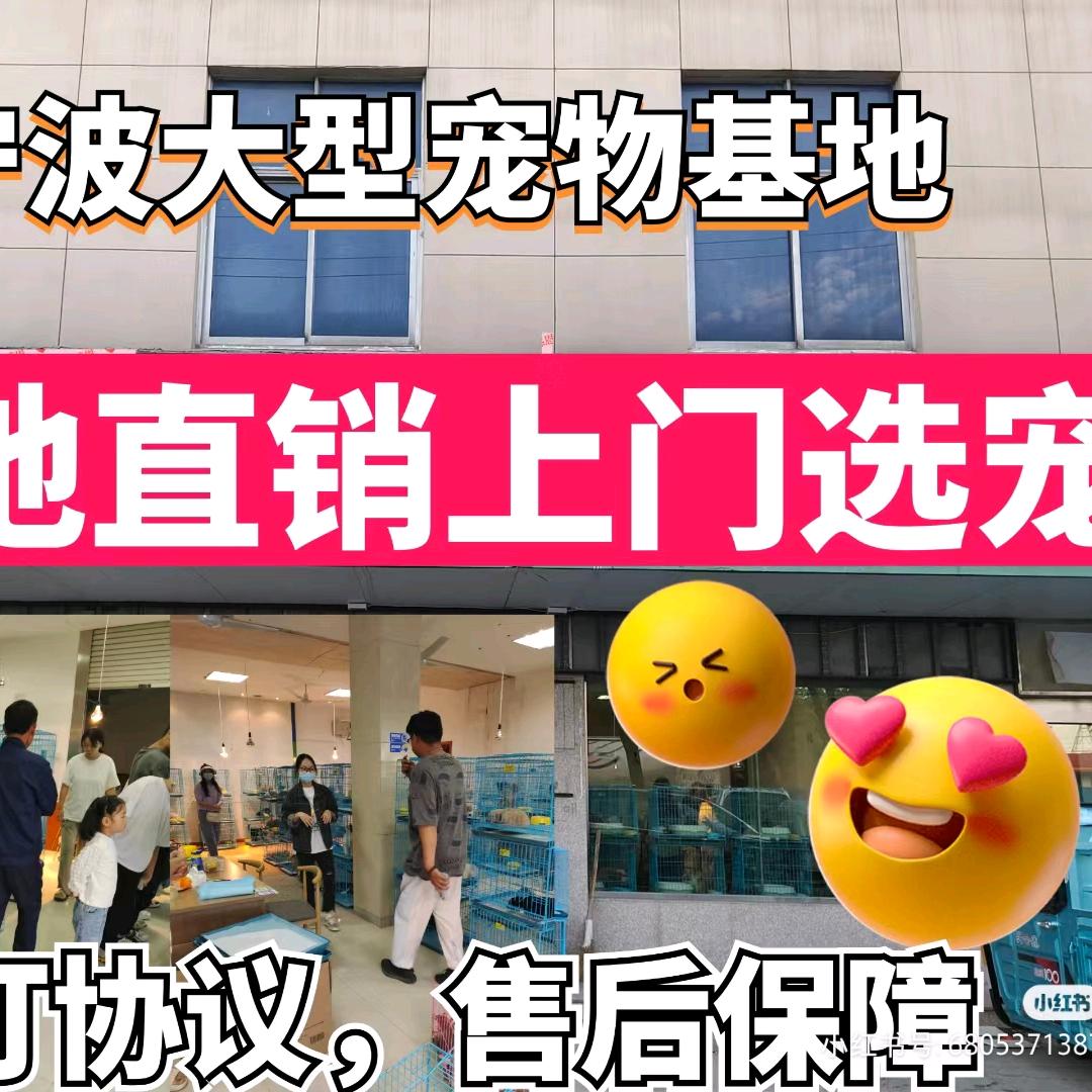 宠物犬舍猫舍养殖基地