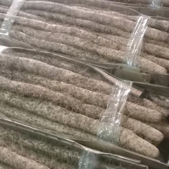 曹老三