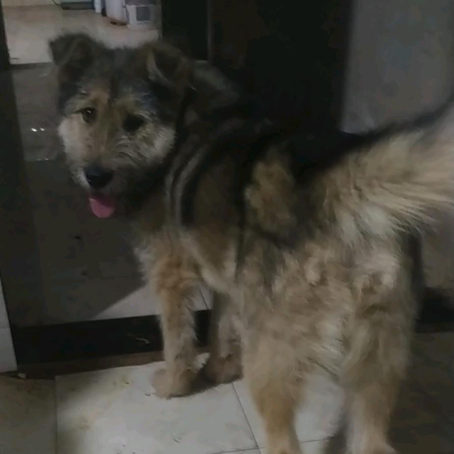 骑着白云追蓝天