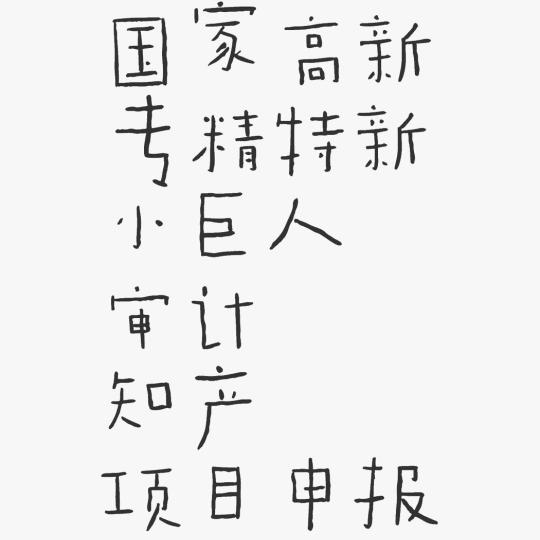 全国审计-年审专审验资课题项目验收
