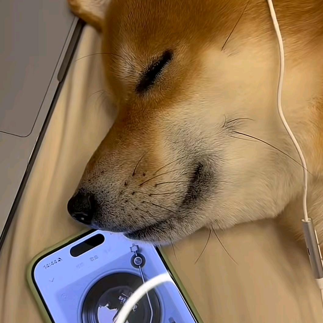 蜡笔小鑫