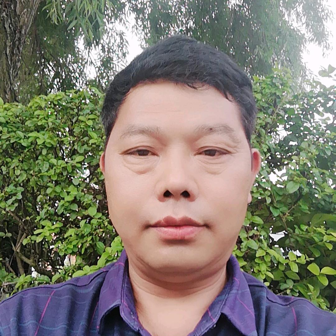 飞来飞去